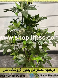 نمای نزدیک درختچه مصنوعی پاچیرا کدIRPSC031