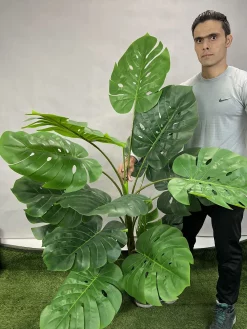 خرید درختچه مصنوعی برگ انجیری 1.8 متری