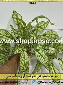 نمای بالای بوته مصنوعی مارانتا کدIRPSC063