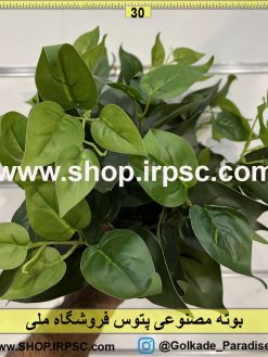 نمای بالای بوته مصنوعی پتوس کدIRPSC067