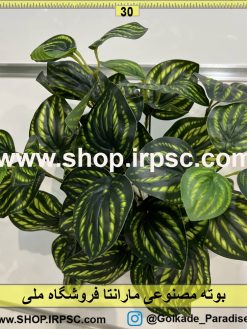 نمای بالای بوته مصنوعی مارانتا کدIRPSC069