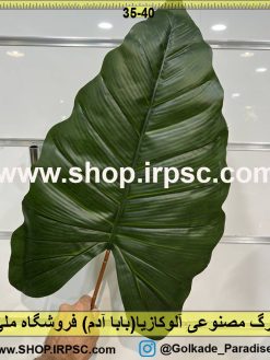 نمای برگ مصنوعی آلوکازیا(بابا آدم) کدIRPSC003
