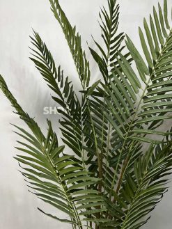 عکس نخل مصنوعی فینیکس 2 متری