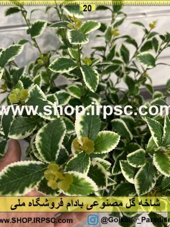 نمای بالای شاخه گل مصنوعی بادام کدIRPSC020