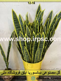 نمای بالای گل مصنوعی سانسوریا ابلق کدIRPSC022