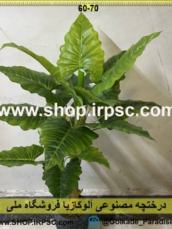 نمای درختچه مصنوعی آلوکازیا کدIRPSC081