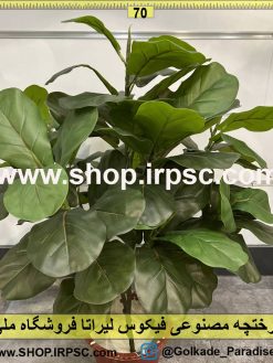 نمای درختچه مصنوعی فیکوس لیراتا کدIRPSC083