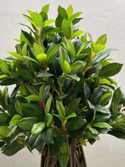 خرید درختچه مصنوعی بونسای 1.3 متری