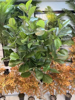 درختچه مصنوعی فیکوس لیراتا 2.5 متری ارزان