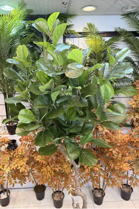 درختچه مصنوعی فیکوس لیراتا 2.5 متری ارزان