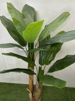 عکس درختچه مصنوعی موز