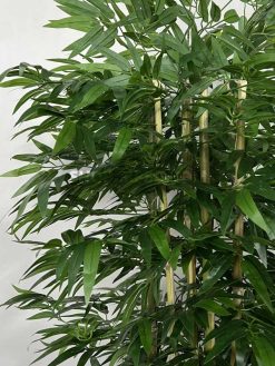 قیمت درختچه مصنوعی بامبو خیزران 2.2 متری