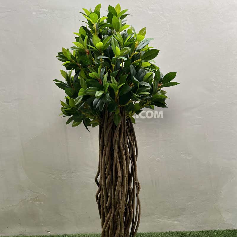 فروش <yoastmark class=