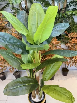 قیمت درختچه مصنوعی موز