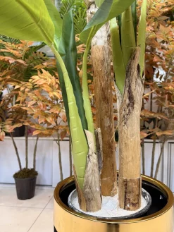 درختچه مصنوعی موز 1.5 متری ارزان