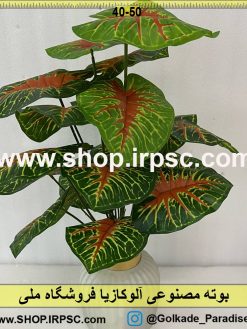 بوته مصنوعی آلوکازیا کدIRPSC094