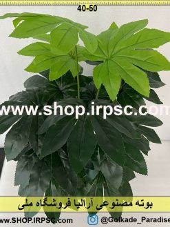 نمای بوته مصنوعی آرالیا کدIRPSC096