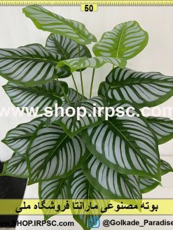نمای بوته مصنوعی مارانتا کدIRPSC101
