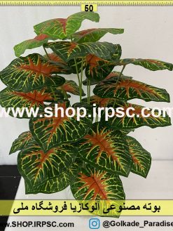 نمای بوته مصنوعی آلوکازیا کدIRPSC103