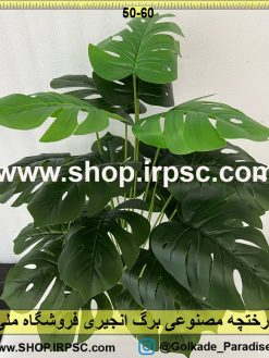 نمای درختچه مصنوعی برگ انجیری کدIRPSC107