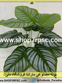 نمای بوته مصنوعی مارانتا کدIRPSC086
