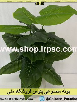 نمای بوته مصنوعی پتوس کدIRPSC093