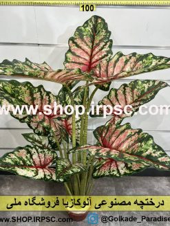 نمای درختچه مصنوعی آلوکازیا کدIRPSC110