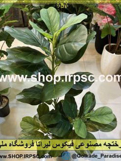 نمای درختچه مصنوعی فیکوس لیراتا کدIRPSC135