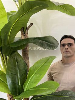 خرید درختچه مصنوعی موز 3 متری