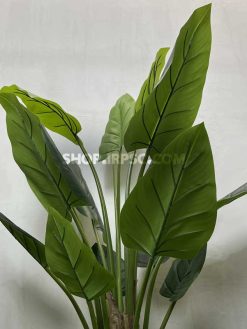 عکس درختچه مصنوعی بابا آدم 1.5 متری