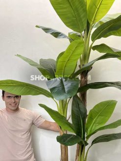 عکس درختچه مصنوعی موز 3 متری