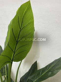 عرضه درختچه مصنوعی آلوکازیا 1.5 متری