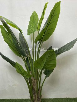 درختچه مصنوعی بابا آدم