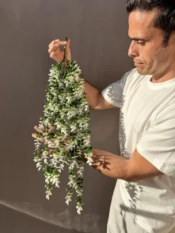 رنگبندی آویز شمشاد مصنوعی 80 سانتی