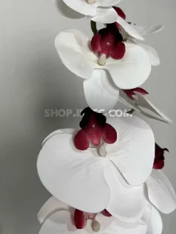 خرید شاخه گل مصنوعی ارکیده سفید و بنفش