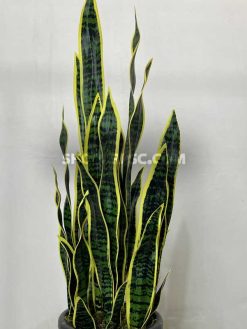 خرید شاخه گل مصنوعی سانسوریا 96 سانتی