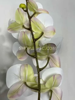 قیمت شاخه گل مصنوعی ارکیده نباتی