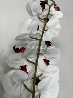 عکس شاخه گل مصنوعی ارکیده 9 گل