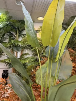 درختچه مصنوعی پرنده بهشتی 220 سانتی ارزان