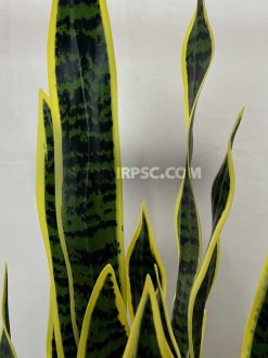 قیمت شاخه گل مصنوعی سانسوریا 96 سانتی