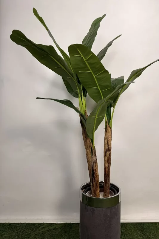 فروش درختچه موز مصنوعی 1.5 متری