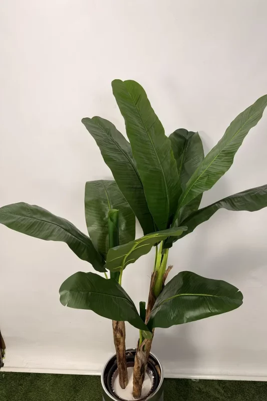 قیمت درختچه موز مصنوعی 1.5 متری