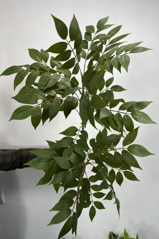 قیمت شاخه برگ مصنوعی اقاقیا