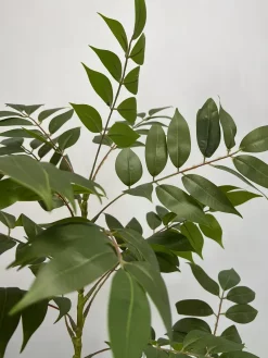 شاخه برگ مصنوعی اقاقیا یک متری ارزان