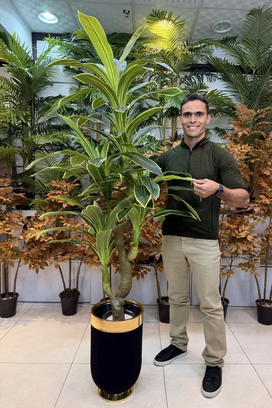 درختچه مصنوعی دراسینا ابلق 180 سانتی