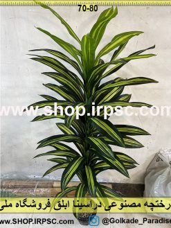 نمای درختچه مصنوعی دراسینا ابلق کدIRPSC152