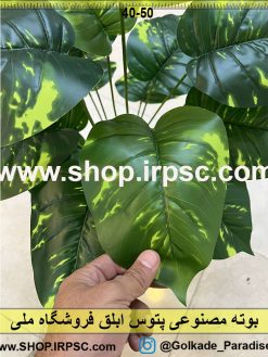 عکس بوته مصنوعی پتوس ابلق کدIRPSC131
