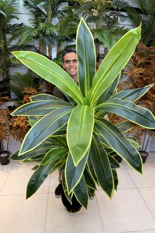 خرید درختچه مصنوعی دراسینا ابلق 180 سانتی