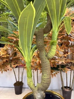 درختچه مصنوعی دراسینا ابلق ارزان