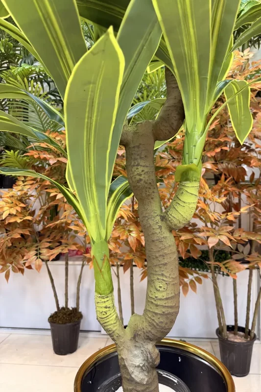 درختچه مصنوعی دراسینا ابلق ارزان